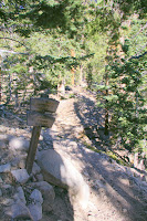 IMGP0006.JPG