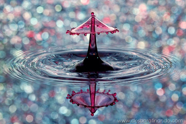 liquid-drop-art-gotas-caindo-foto-velocidade-hora-certa-desbaratinando (244) liquid-drop-art-gotas-caindo-foto-velocidade-hora-certa-desbaratinando (244)