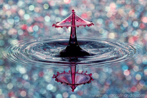 liquid-drop-art-gotas-caindo-foto-velocidade-hora-certa-desbaratinando (244)