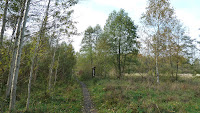 Czarny szlak w okolicach Truskawia Photo