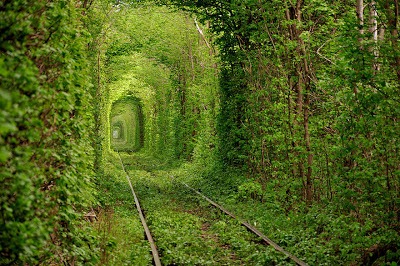 [Tunnel-of-Love-Ukraina3.jpg]