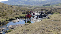 P1020334.JPG Photo