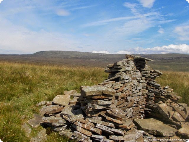 northern pies Mickle Fell