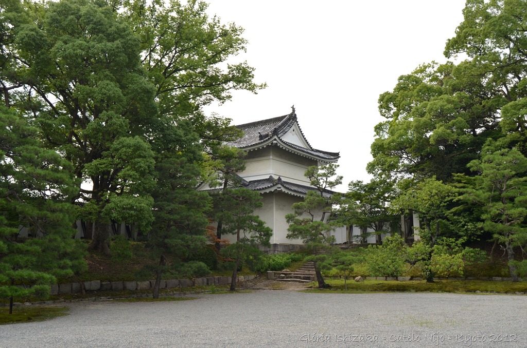 [DSC_094219.jpg]