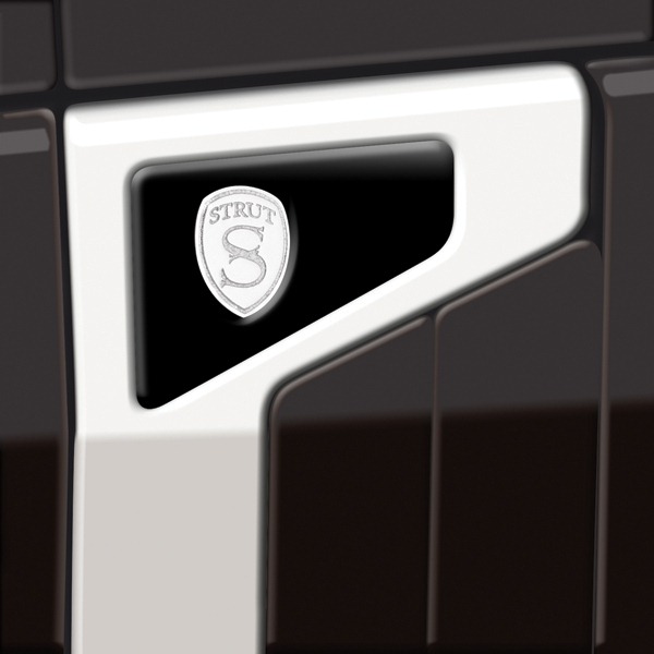 [Struts-2013-Range-Rover-12%255B3%255D.jpg]