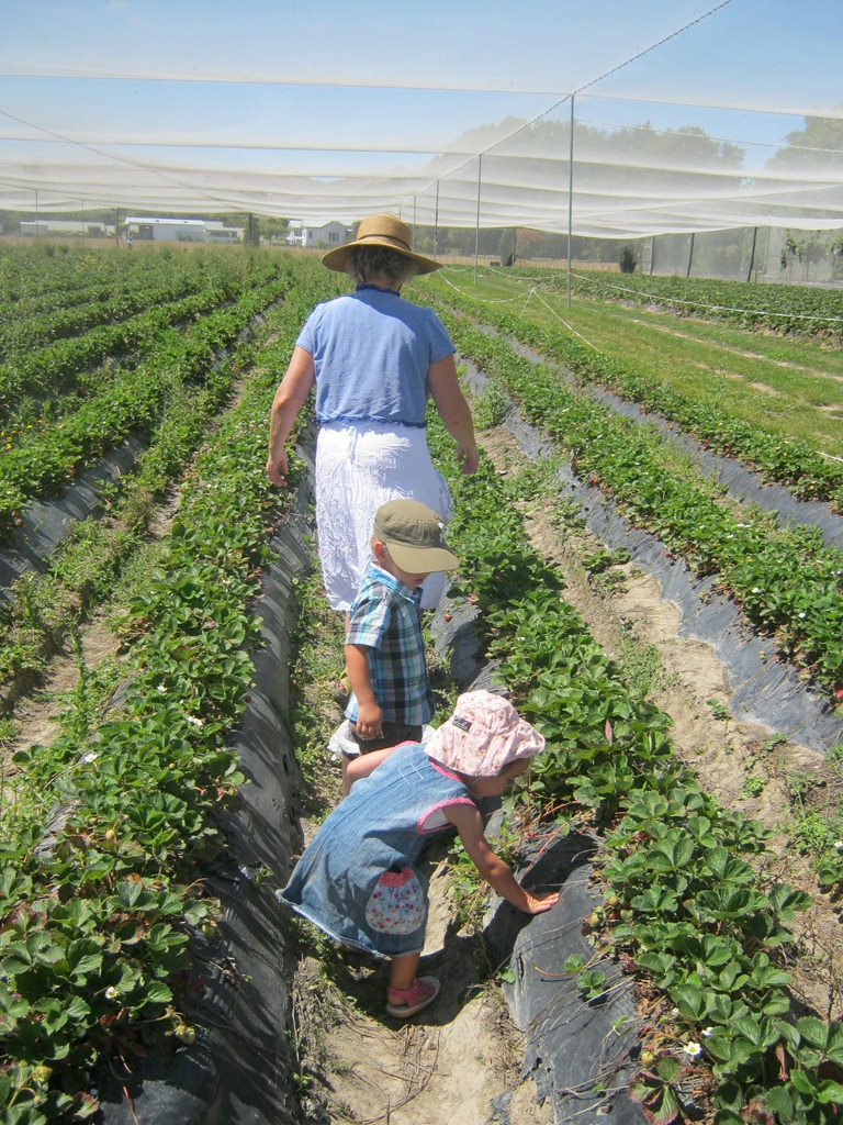 [IMG_7420%255B8%255D.jpg]