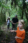 Monkey Trail, Abra Patricia - Alto Nieva Reserve, Peru
