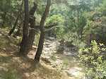 DSCF3631.jpg