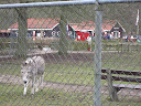 2013-02-21 reportage vogelkasjes eoord