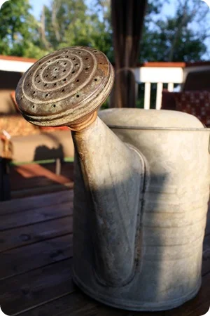 antique watering can