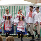 P1070003.JPG