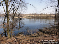 dsc06915.jpg