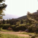 View album
