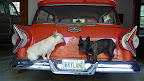 Don't you just love the taillights?  It even has a very appropriate license plate.  Hey, I have an idea!  What do you say about a little drive into town?  You know this car always gets a lot of attention.