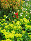 Just the thing for the eye that has grown tired of namby-pamby spring pastels!