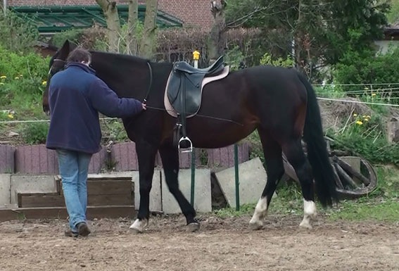 [Rasga-alt15%255B1%255D.jpg]