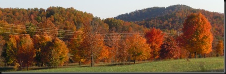 fall foliage along Hwy 5 in southern Missouri