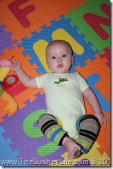 IMG_0007 IMG_0007