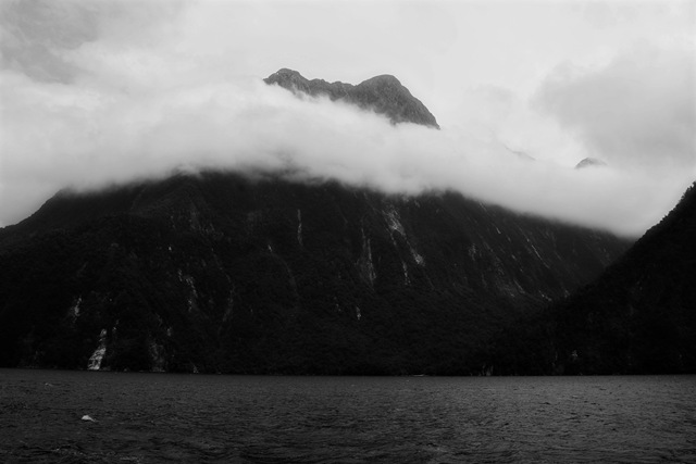[DSC_7359%2520copy%255B4%255D.jpg]