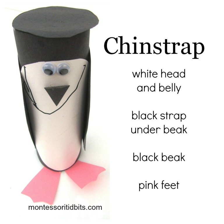 [chinstrap3%255B4%255D.jpg]