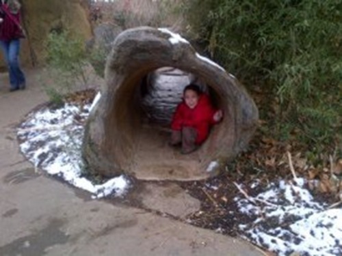 Log