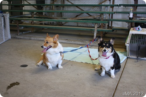 Saphira and Sasha