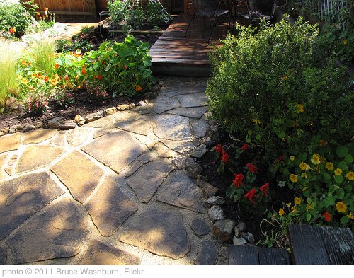 'Flagstones' photo (c) 2011, Bruce Washburn - license: http://creativecommons.org/licenses/by/2.0/