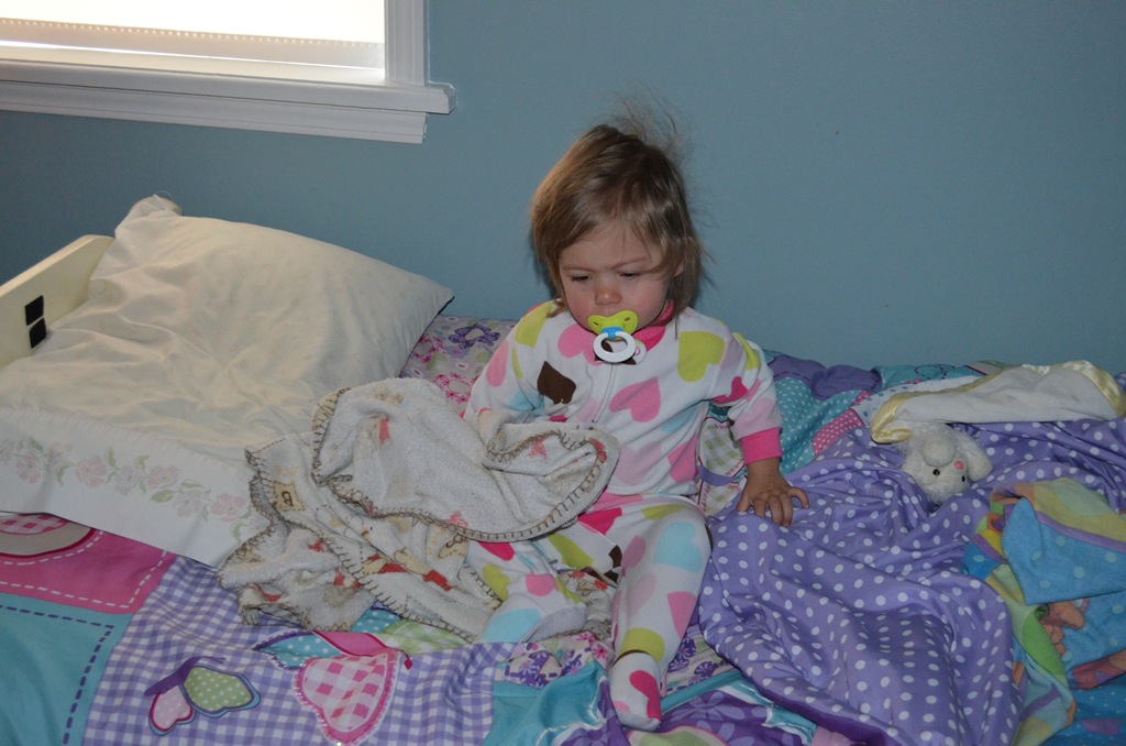 [DSC_0532%255B3%255D.jpg]