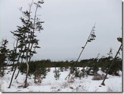 DSCF6901