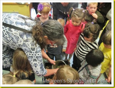 IMG_2111 IMG_2111