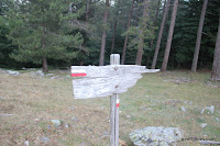 IMG_1372.JPG Photo