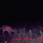 MDGC0247.JPG