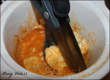 Many Waters Cutting Up Buffalo Chicken in Crockpot