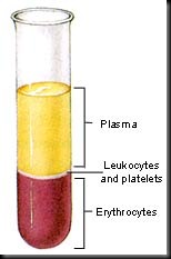 hematocrit hematocrit