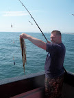 Image12.jpg
