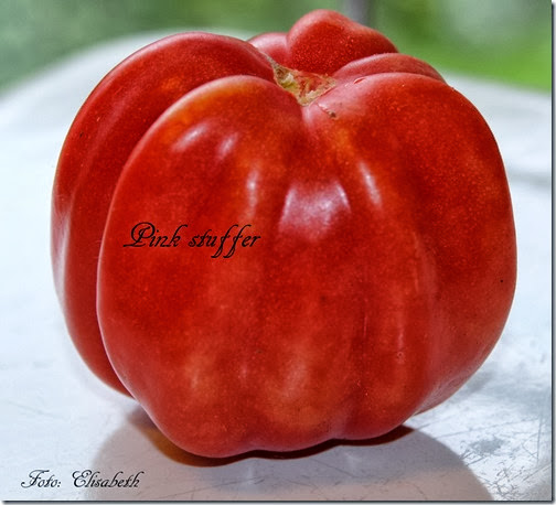 DSC_0065 DSC_0065