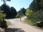  &ndash; 17-may-2009
