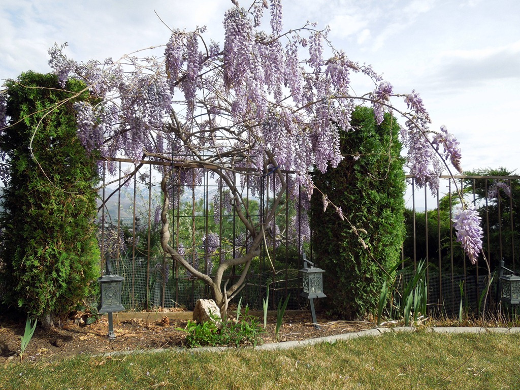 [DSCN1391%255B3%255D.jpg]