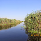 IMG_5702.JPG