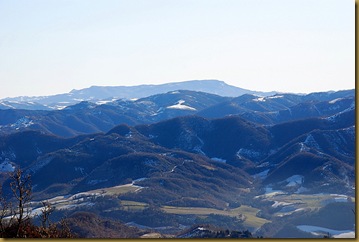 M.Comero