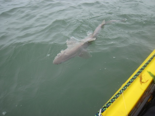 [IMG_0589%255B6%255D.jpg]