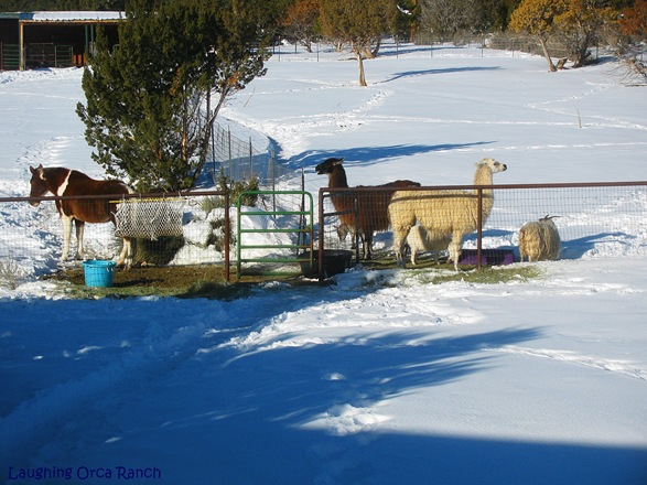 [IMG_8327%255B5%255D.jpg]