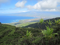 View of Maui from near the top of the ridge.