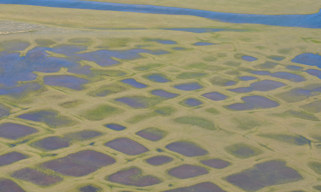 This photo taken during the CARVE experiment shows polygonal lakes created by melting permafrost on Alaska's North Slope. As the frozen soil melts, it shrinks, leaving cracks that fill with water. In winter the water-filled cracks freeze into ice wedges. Photo: NASA / JPL-Caltech