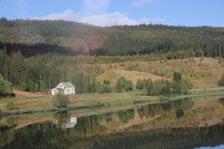 IMG_1959 IMG_1959