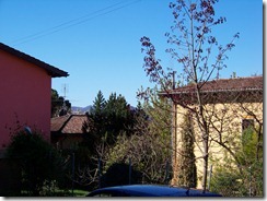 100_2653 100_2653