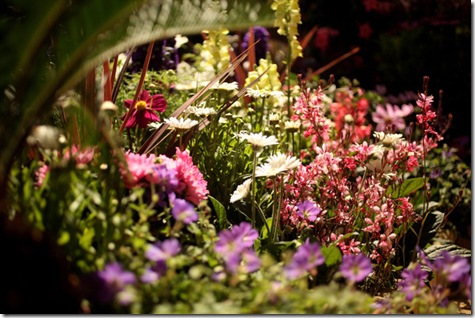 Adore The Stunning Floral Display At The Famous Hampton Court Flower Show