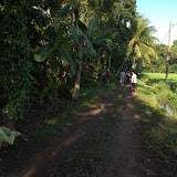 Indonesia-Banyuwanggi