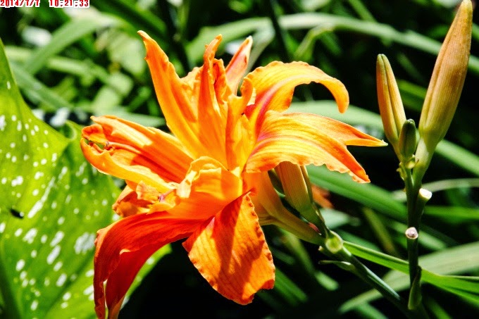 2014_0707_102133 2014_0707_102133