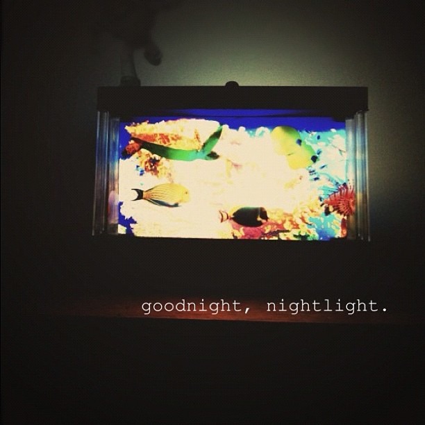 [goodnight%255B3%255D.jpg]